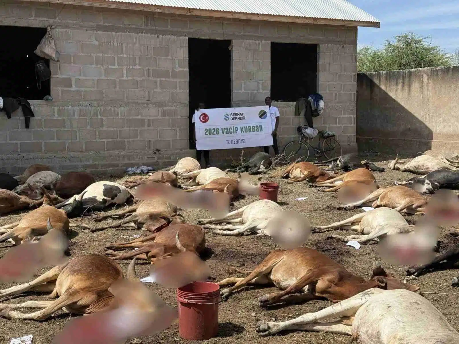 2026 Vacip Kurban Kenya