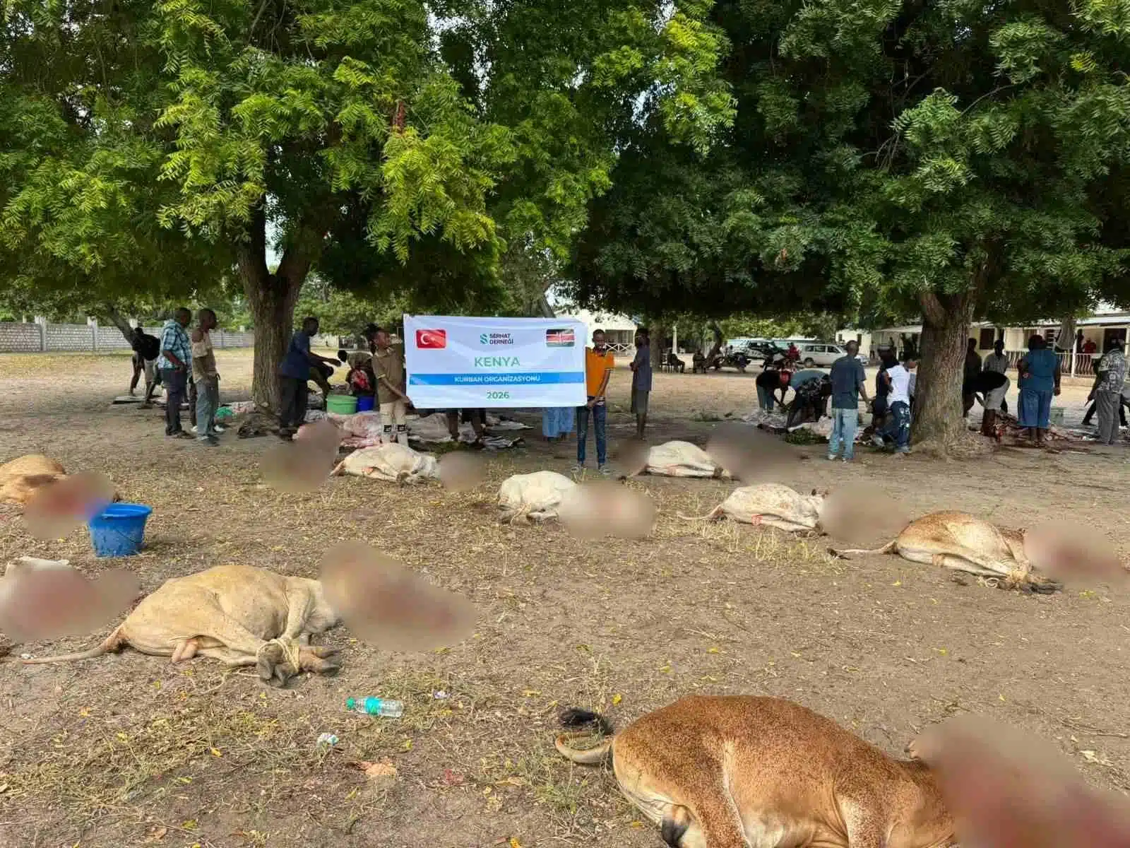 2026 Vacip Kurban Kenya