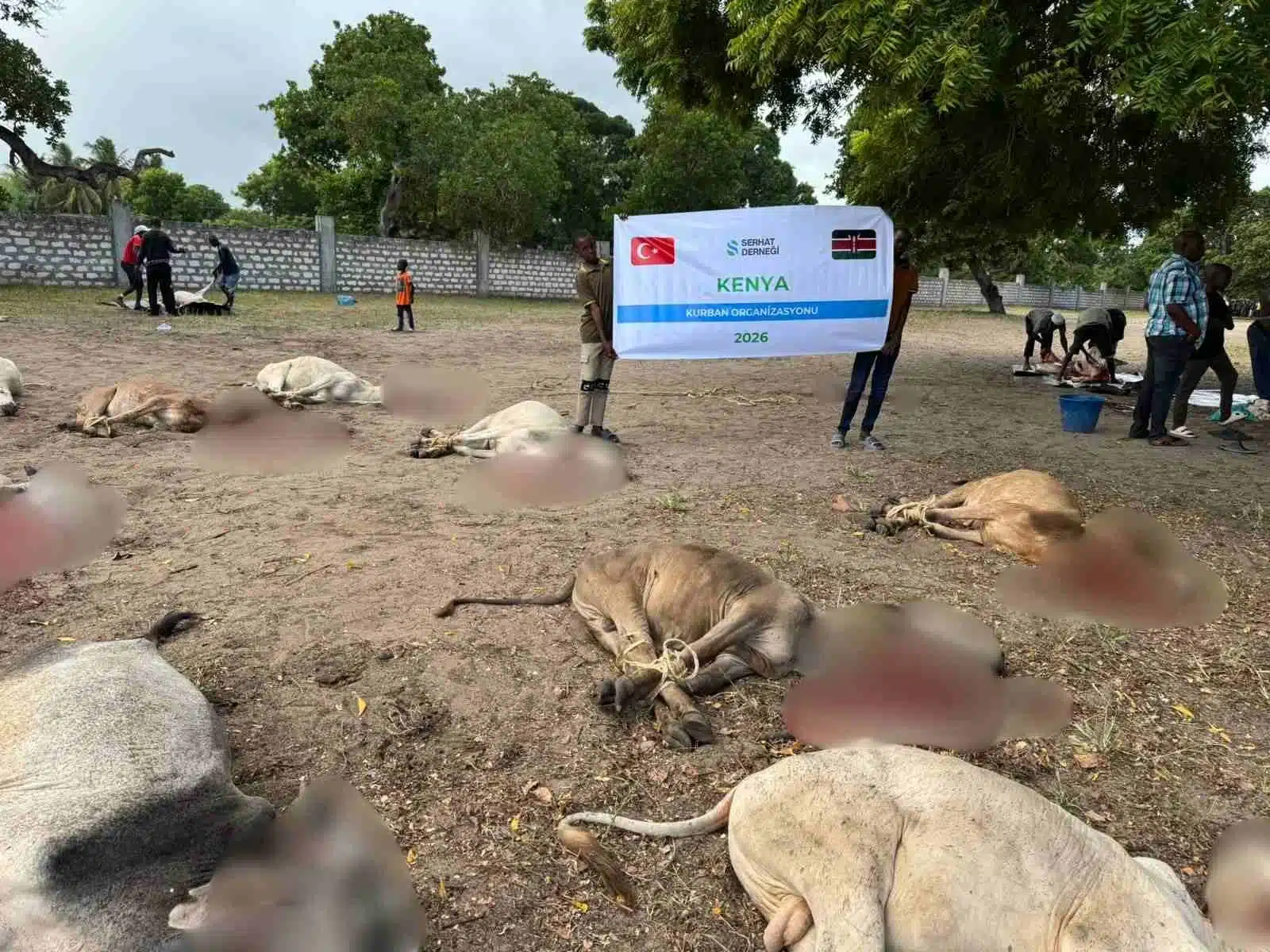 2026 Vacip Kurban Kenya
